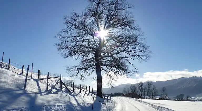 Apartment in Altenau