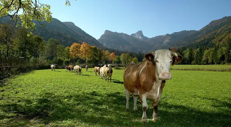 Ferielejlighed i Seehaus