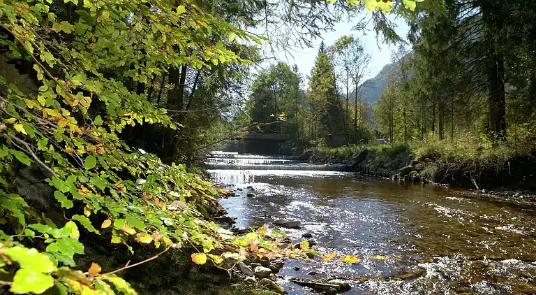 Apartment in Seehaus