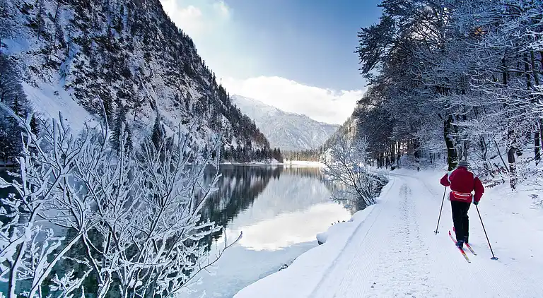 Apartment in Seehaus