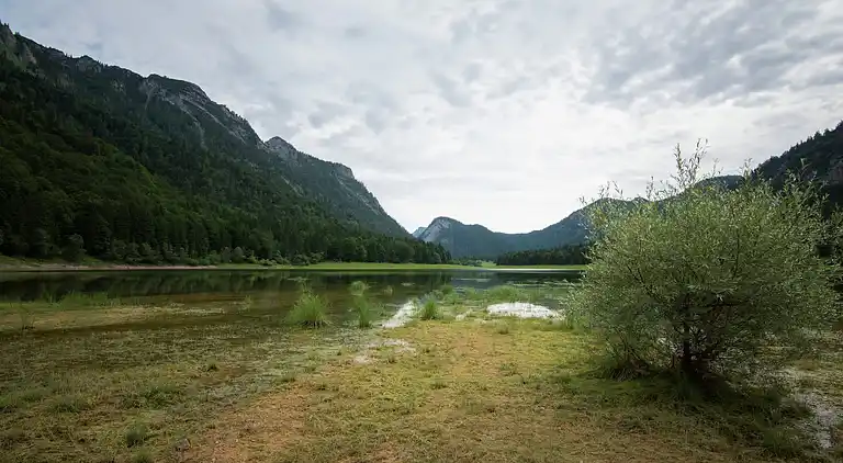 Apartment in Seehaus