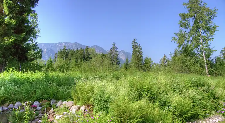 Ferielejlighed i Eck