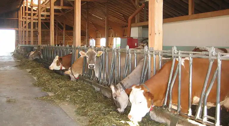 Ferielejlighed i Ingenried