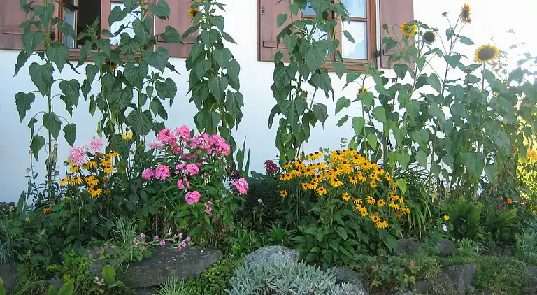 Lägenhet i Ingenried