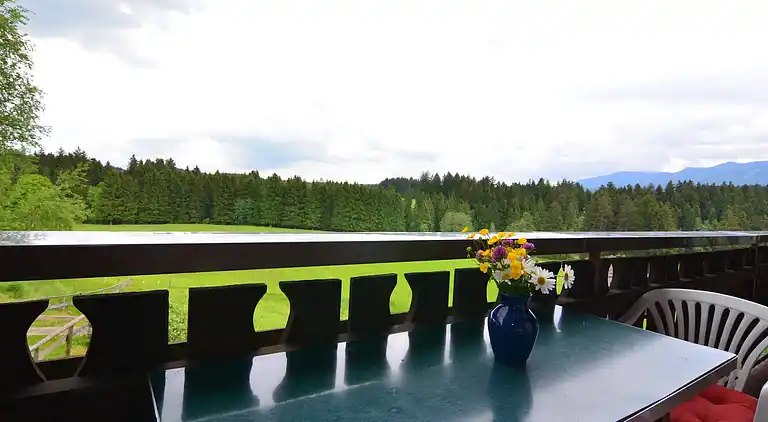 Gårdhus i Lauterbach