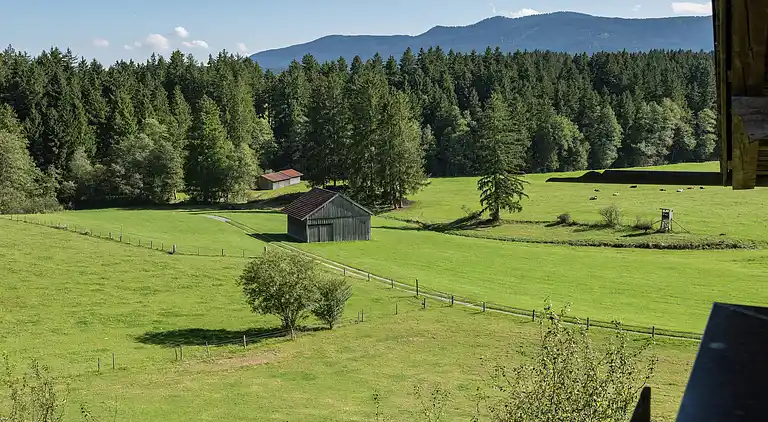 Gårdhus i Lauterbach