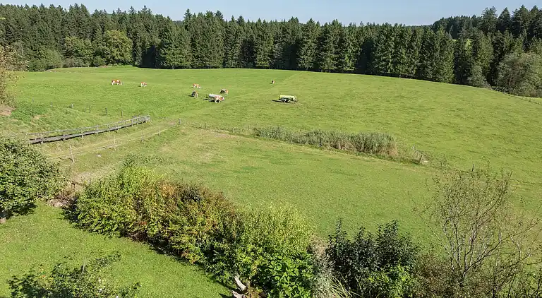 Gårdhus i Lauterbach