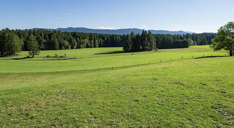 Gårdhus i Lauterbach