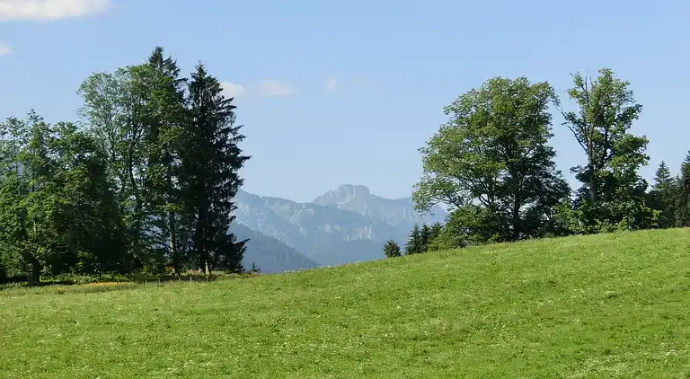 Holiday home in Hiebler