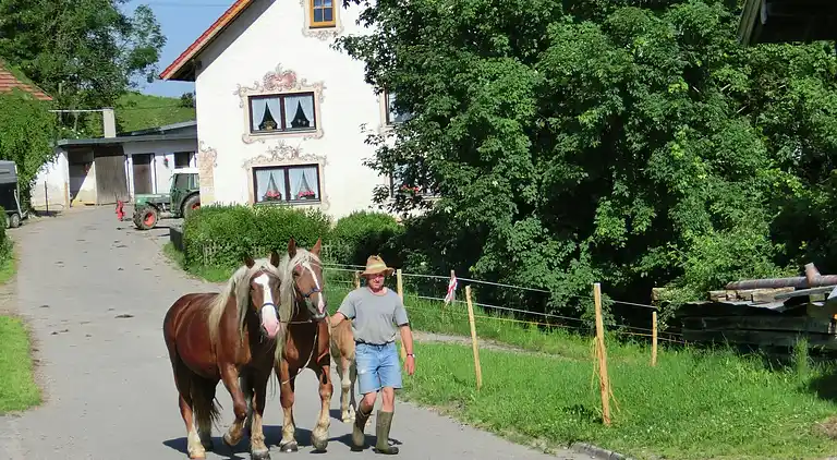 Holiday home in Hiebler