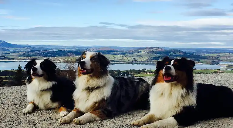 Ferielejlighed i Ried