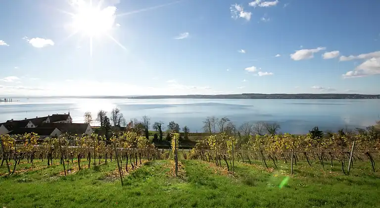 Ferielejlighed i Bermatingen