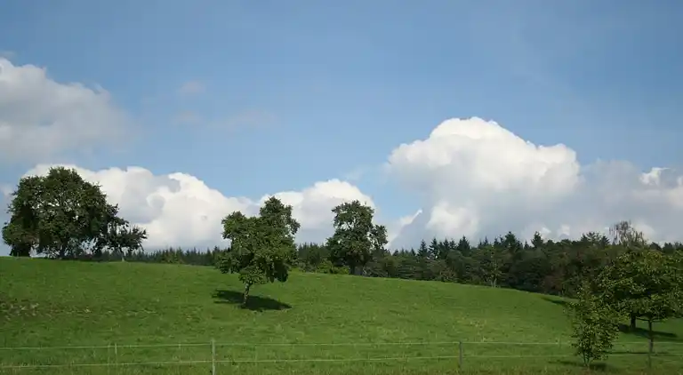 Ferielejlighed i Bermatingen