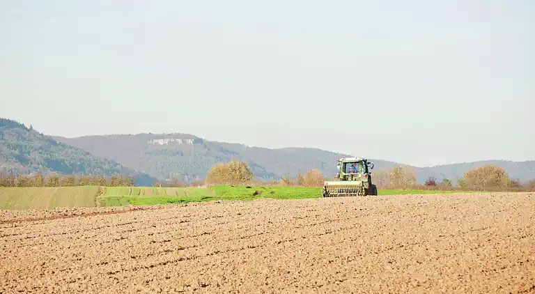 Ferielejlighed i Morschreuth