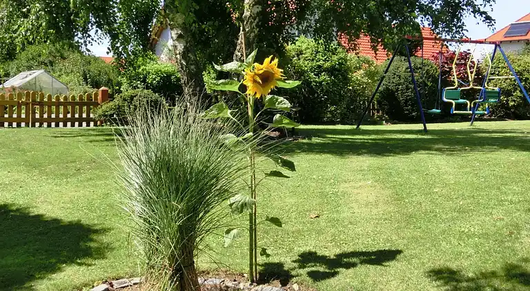 Apartment in Wichsenstein