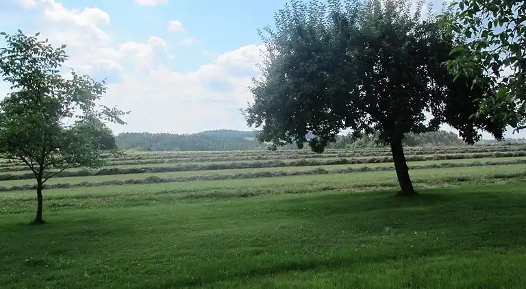 Holiday home in Neunburg