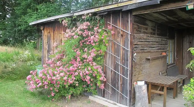 Holiday home in Neunburg