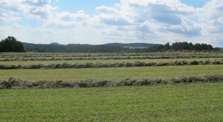 Feriebolig i Neunburg