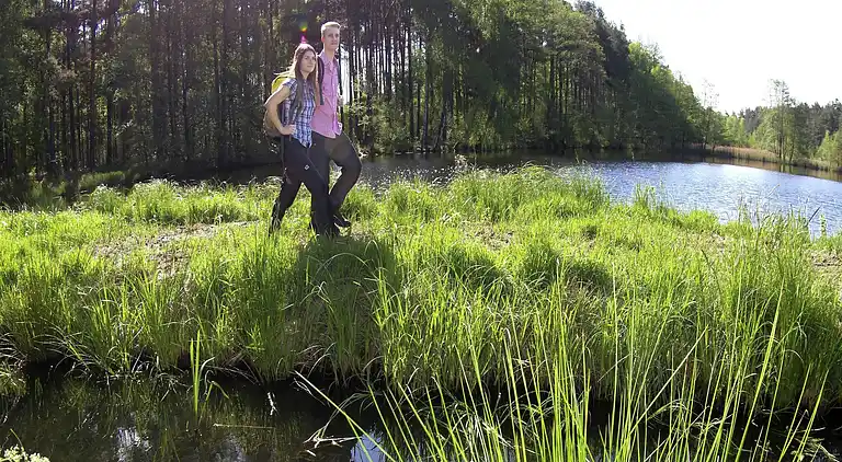 Feriebolig i Neunburg