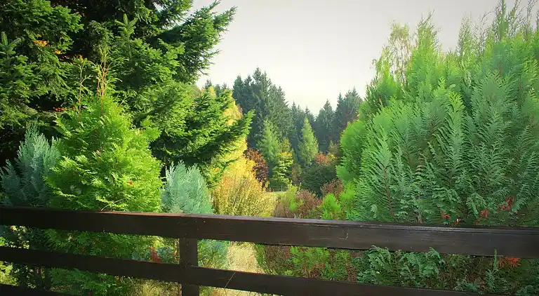 Holiday home in Stadlern