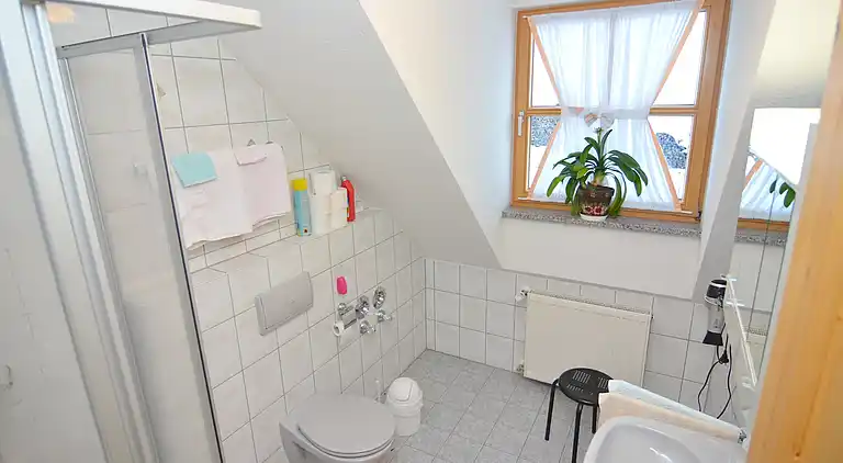 Leilighet i Schönsee