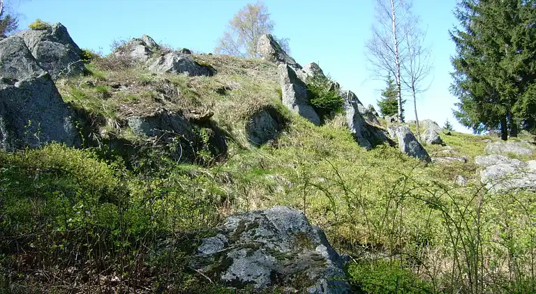 Holiday home in Stadlern