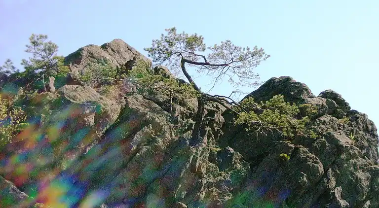 Holiday home in Stadlern