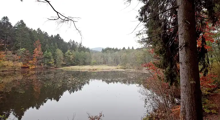 Ferielejlighed i Raßreuth