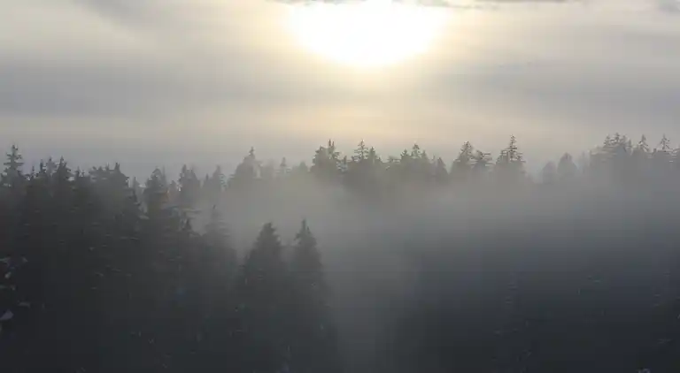 Holiday home in Schimmelbach