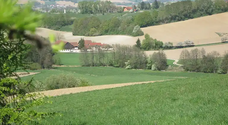 Apartment in Malching