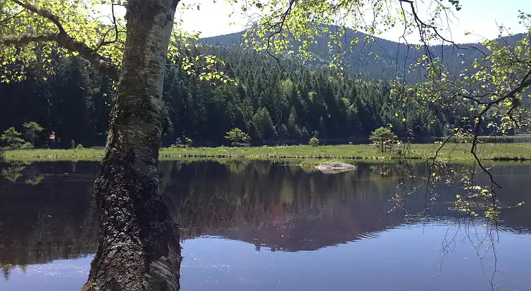 Leilighet i Breitenberg