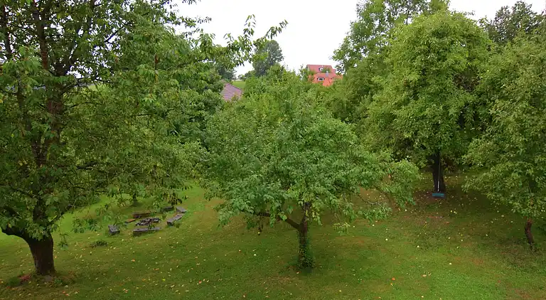 Holiday home in Prombach