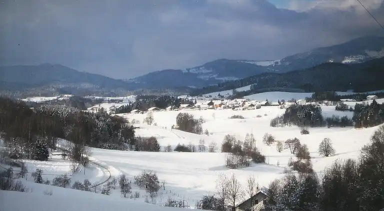 Holiday home in Saldenburg