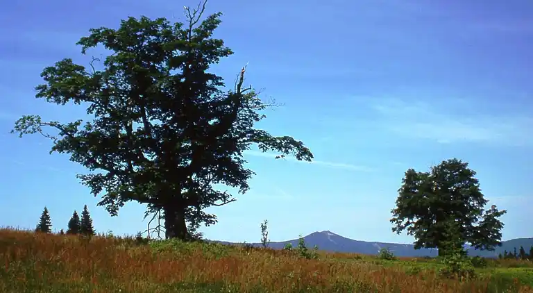 Ferielejlighed i Lehen