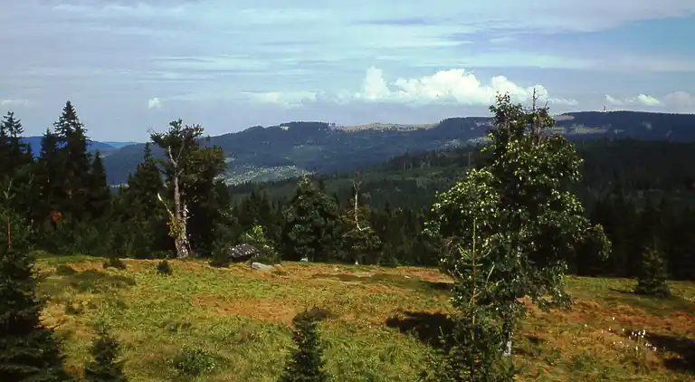 Ferielejlighed i Lehen