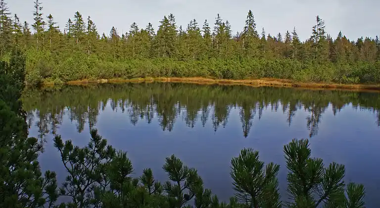 Ferielejlighed i Lehen