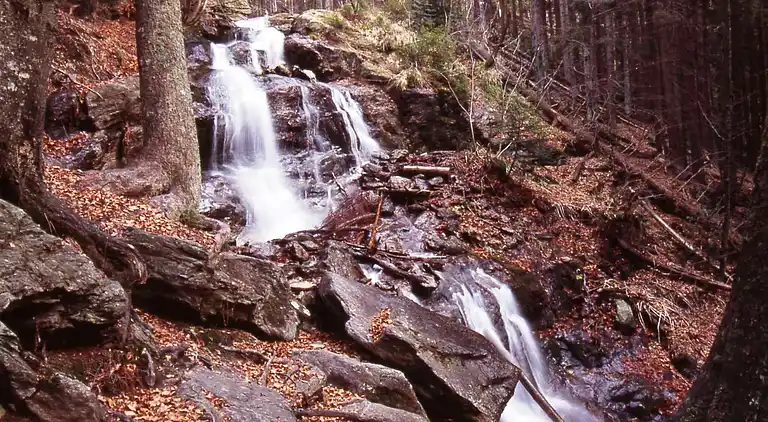 Ferielejlighed i Lehen