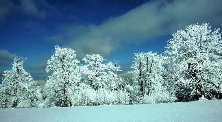 Ferielejlighed i Lehen