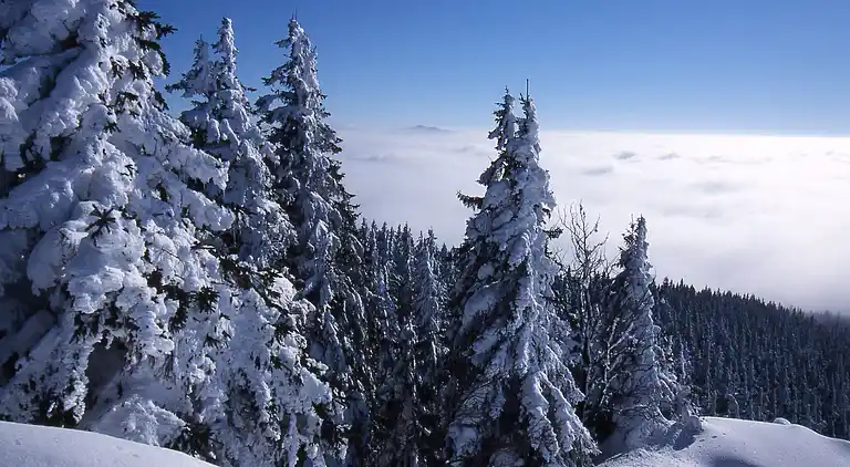 Ferielejlighed i Lehen