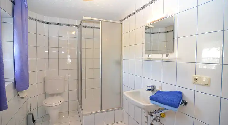 Holiday home in Viechtach