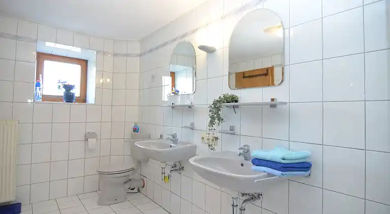 Holiday home in Viechtach