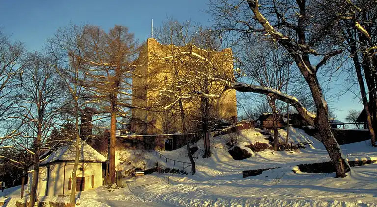 Holiday home in Viechtach