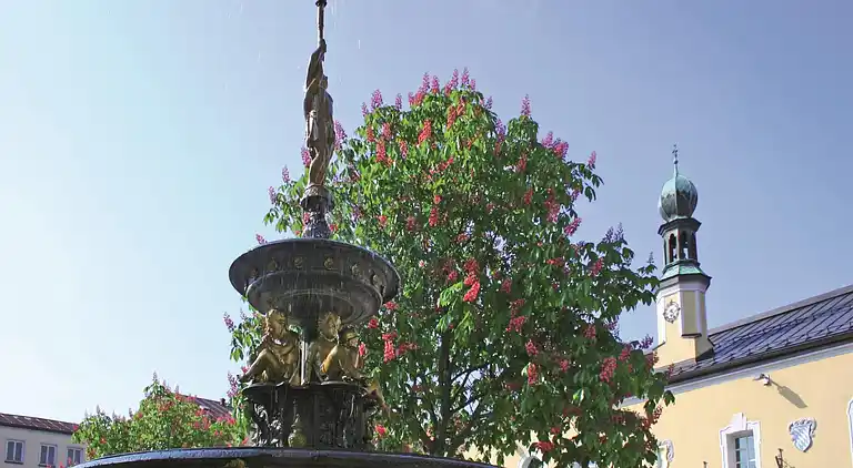 Holiday home in Viechtach