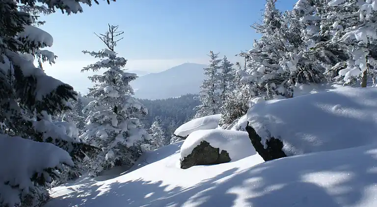 Holiday home in Viechtach