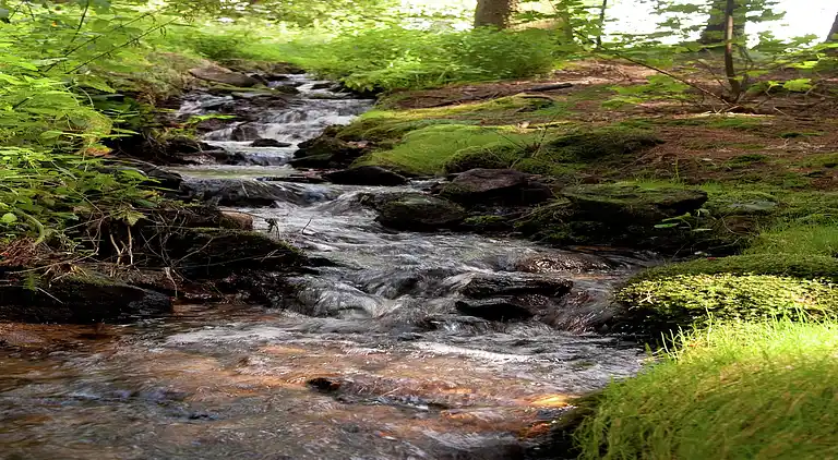 Casa vacanze in Pfaffenzell