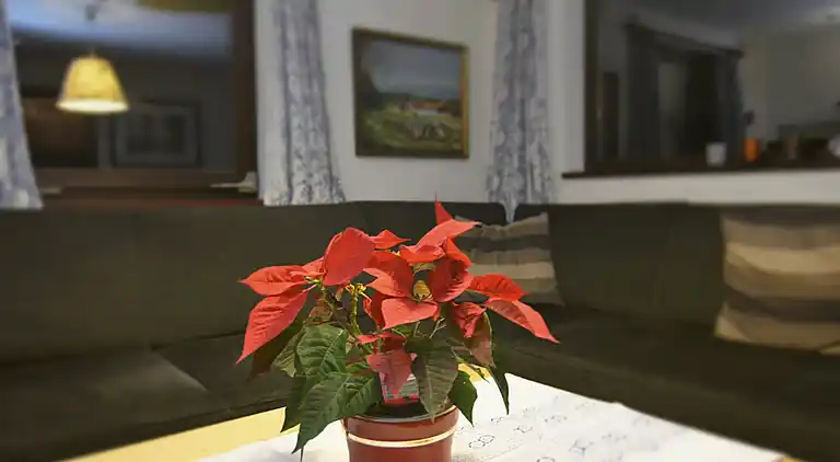 Casa vacanze in Pfaffenzell