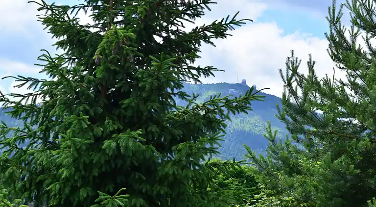 Ferielejlighed i Hengersberg