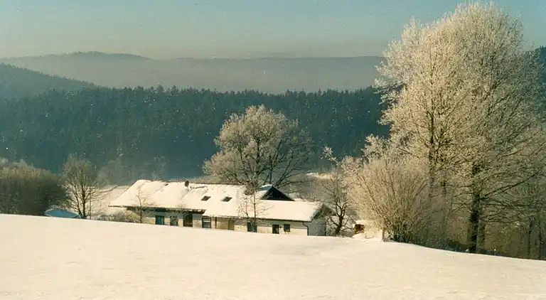 Ferielejlighed i Grafenried