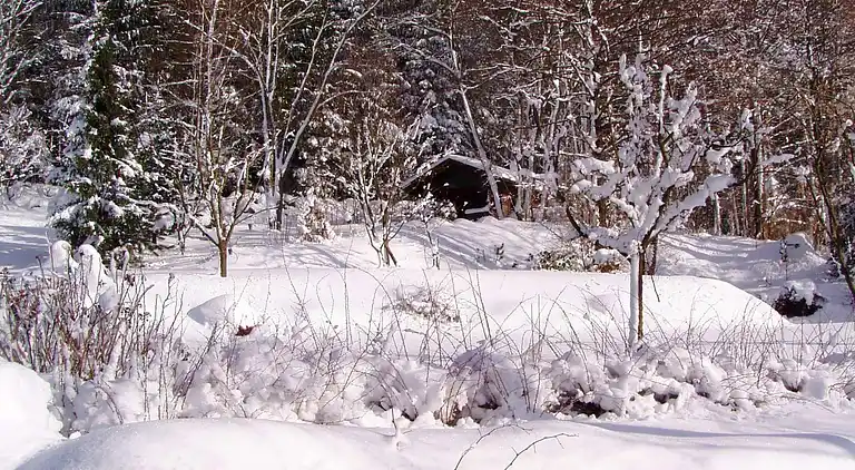 Ferienhaus in Sedlhof