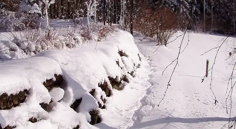 Ferienhaus in Sedlhof